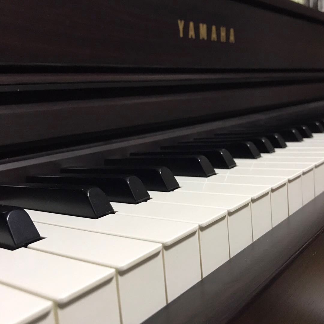 奏鳴曲🌻曾遂今