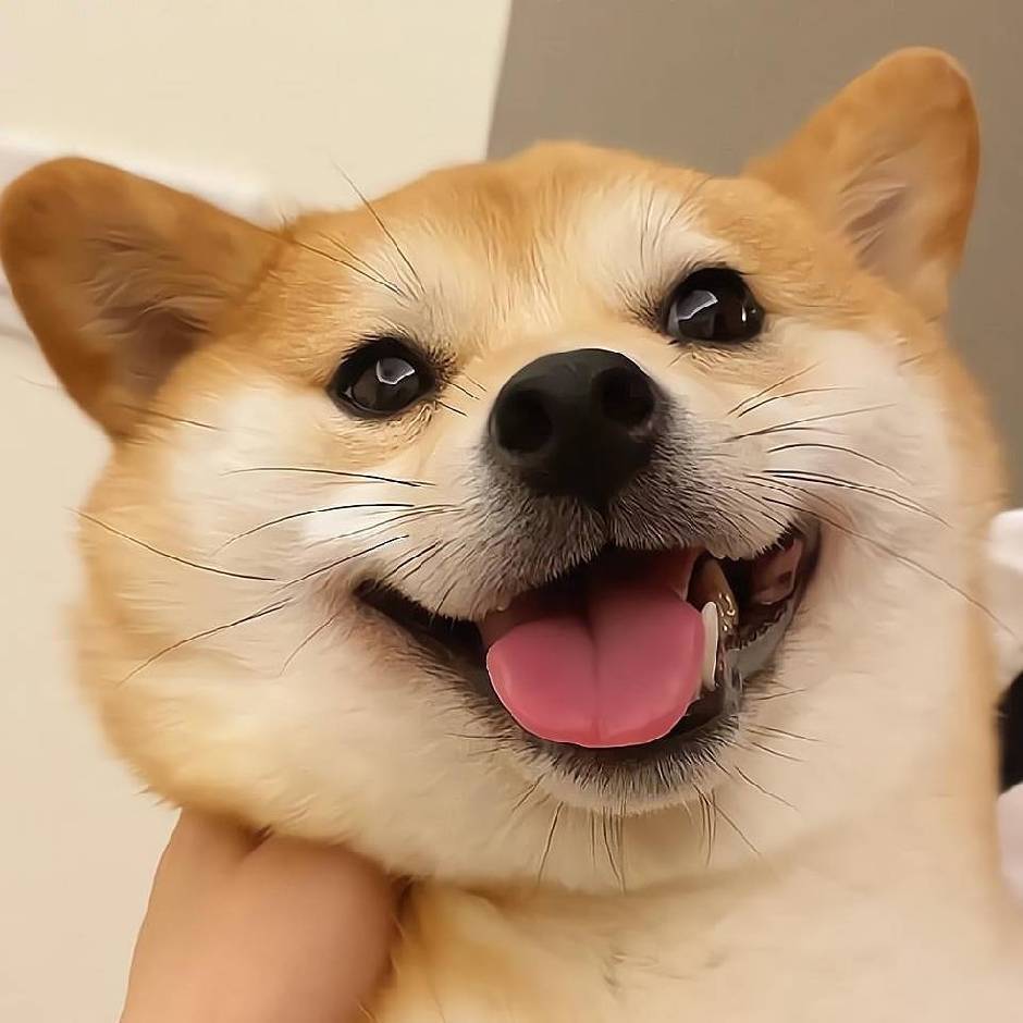 逯。