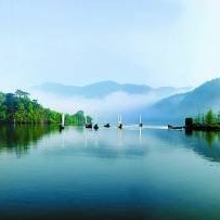 青山绿水