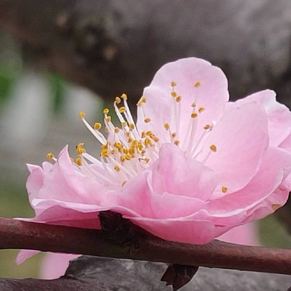 欣怡宝贝