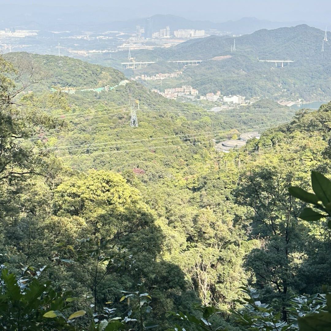 谭根平