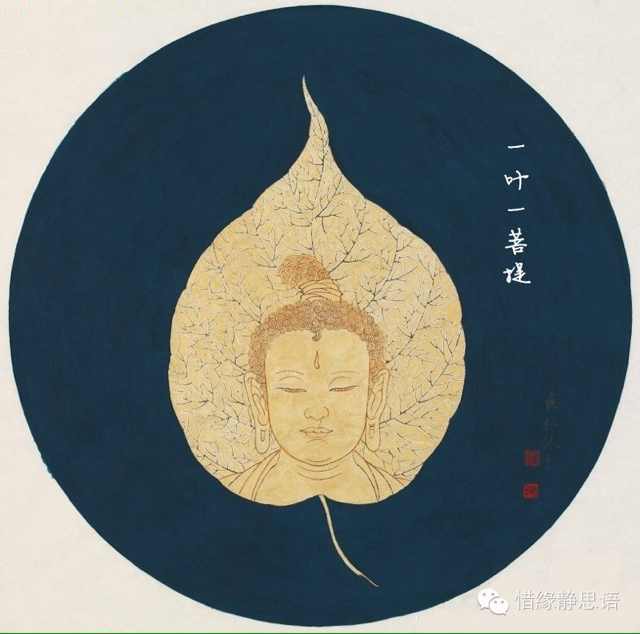 菩.🌜 萤 荧🌛