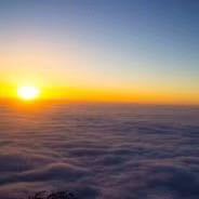 想长肥肉的瘦子