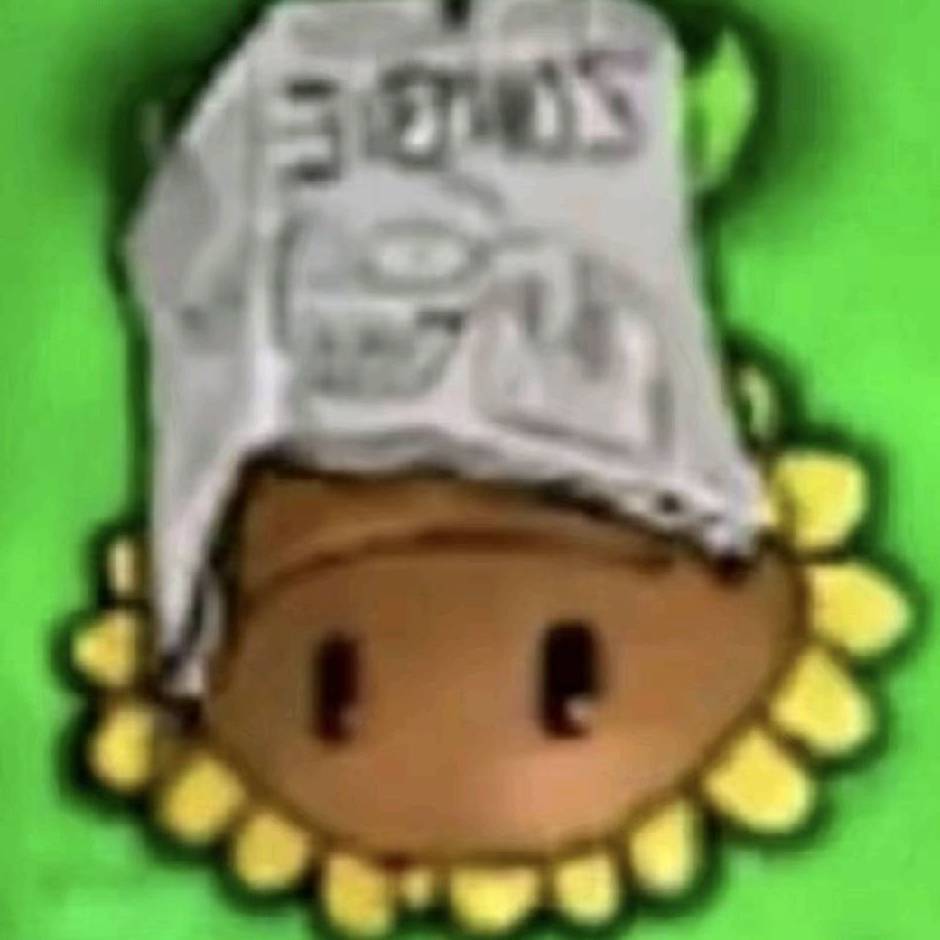 🌻