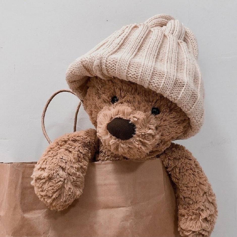 AI系统小程序建网站熊生_软件开发