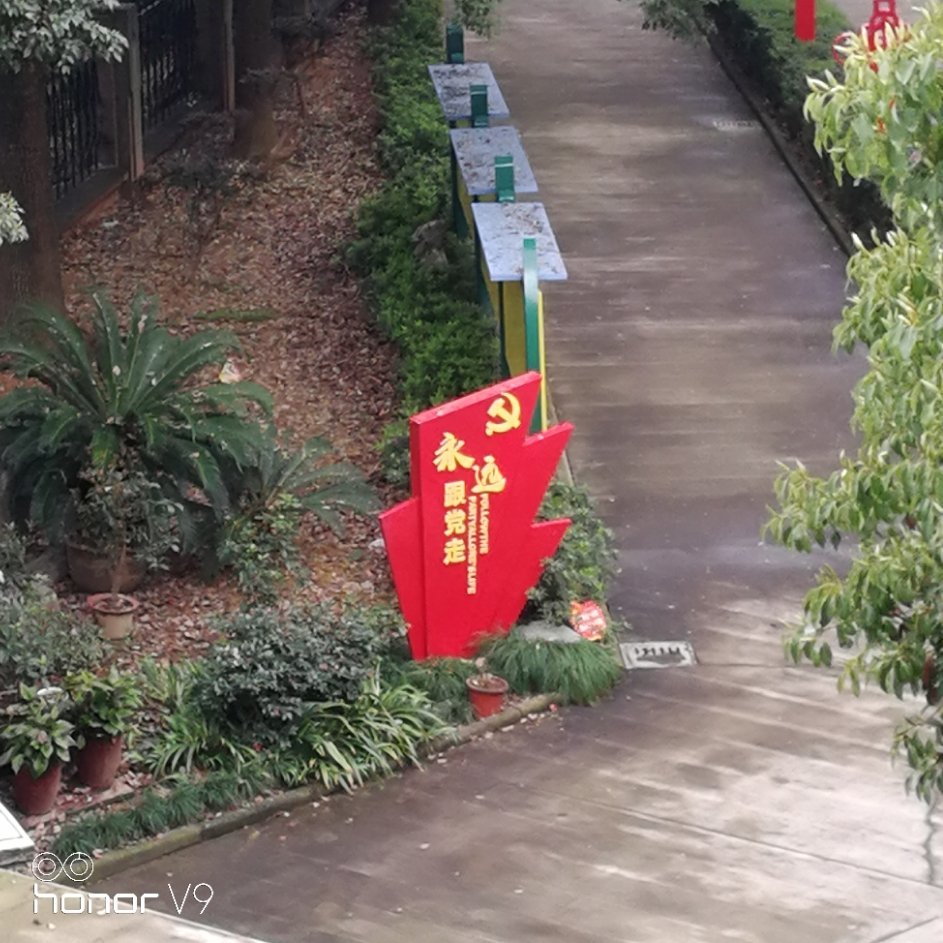用戶頭像