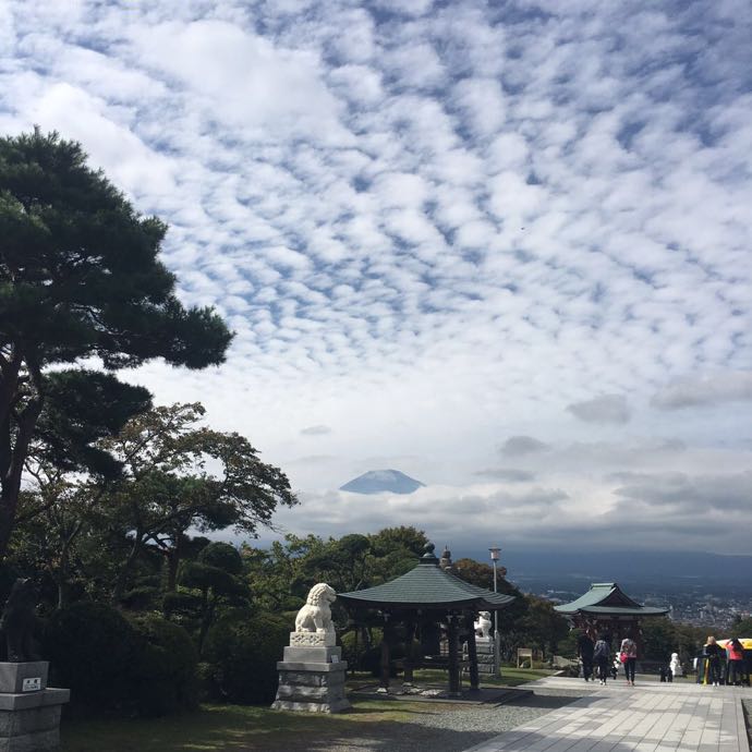  墨雨