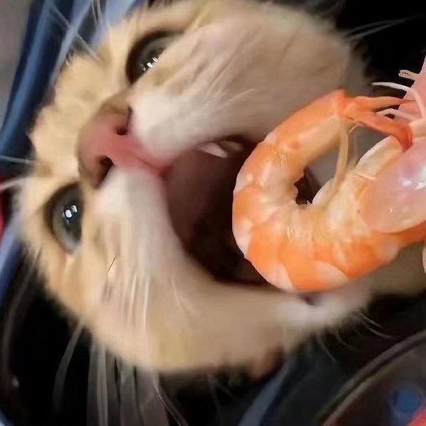 洛