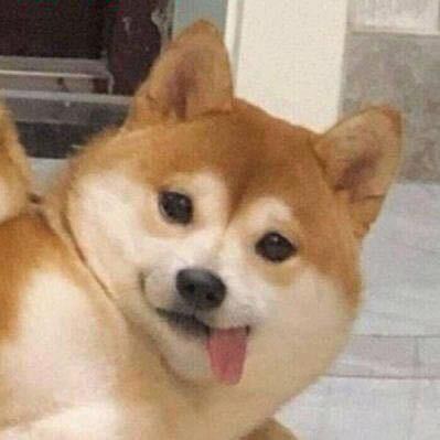 昭阳
