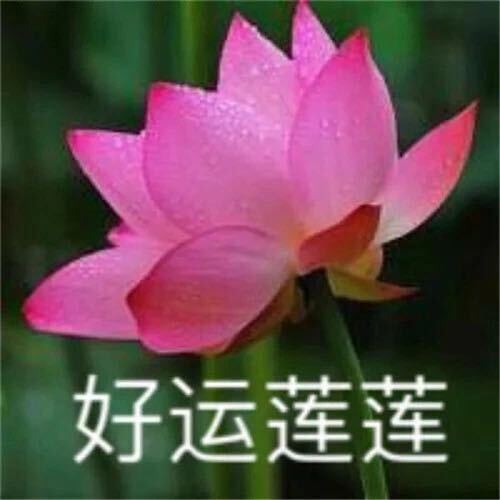 万扬