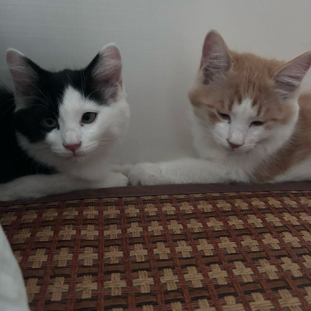 隐行者｜2025稳扎稳打