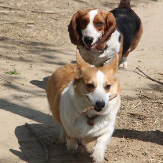 程煜 ℡¹⁷⁵¹³⁰⁷³²⁸⁰