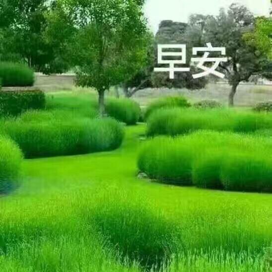 赢得更多