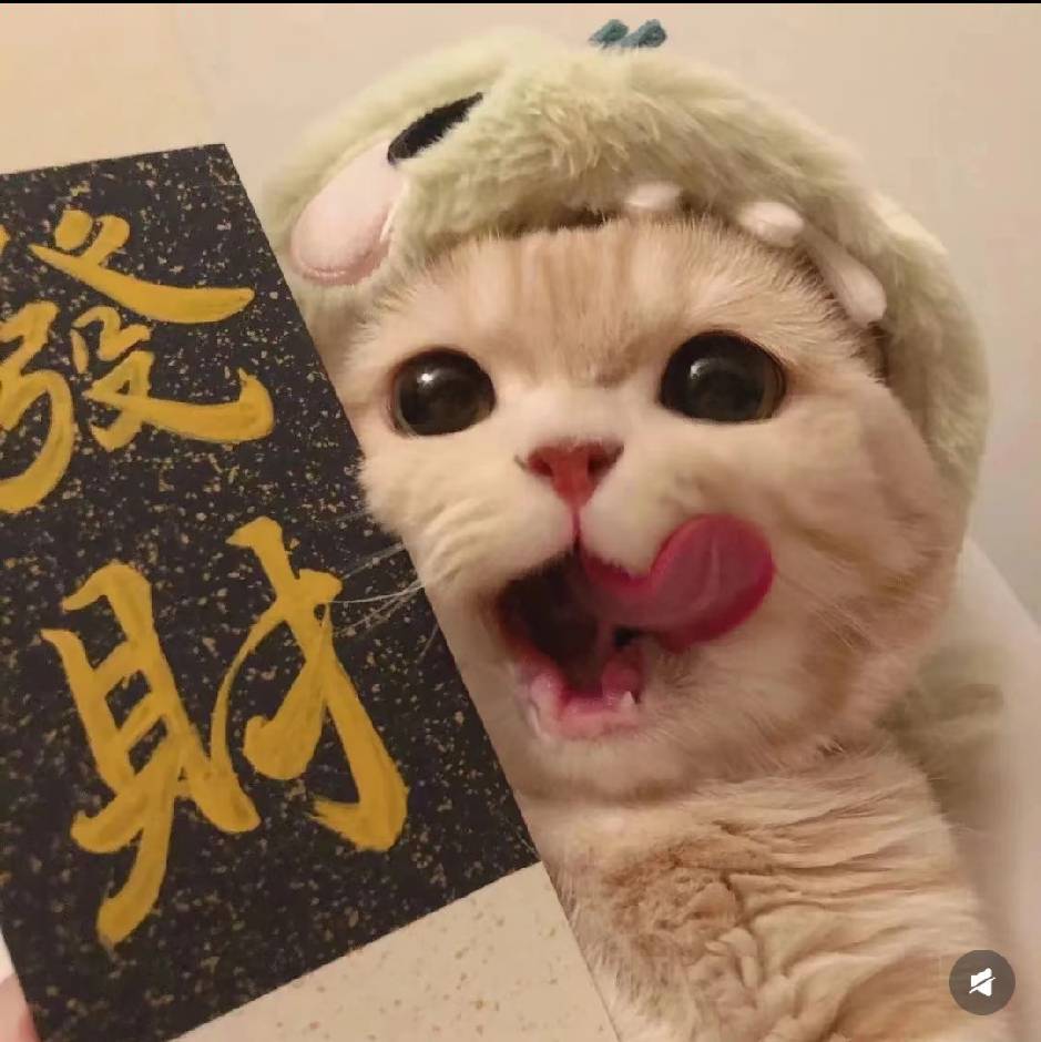 小玲（没回就是在睡觉）