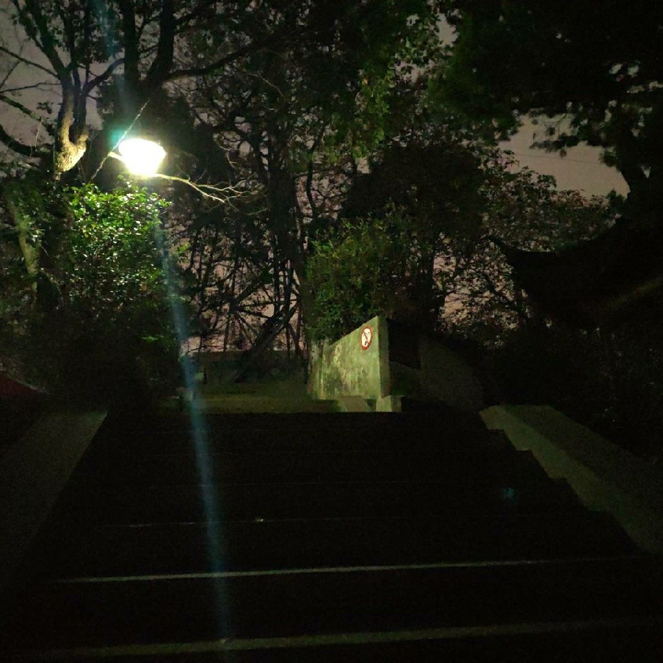 往事一杯酒🦋~L🦋