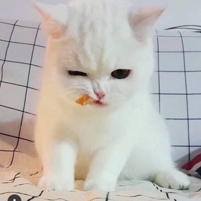Java-周