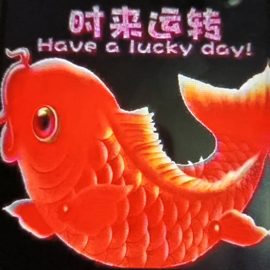 凌晨一点的猫 666