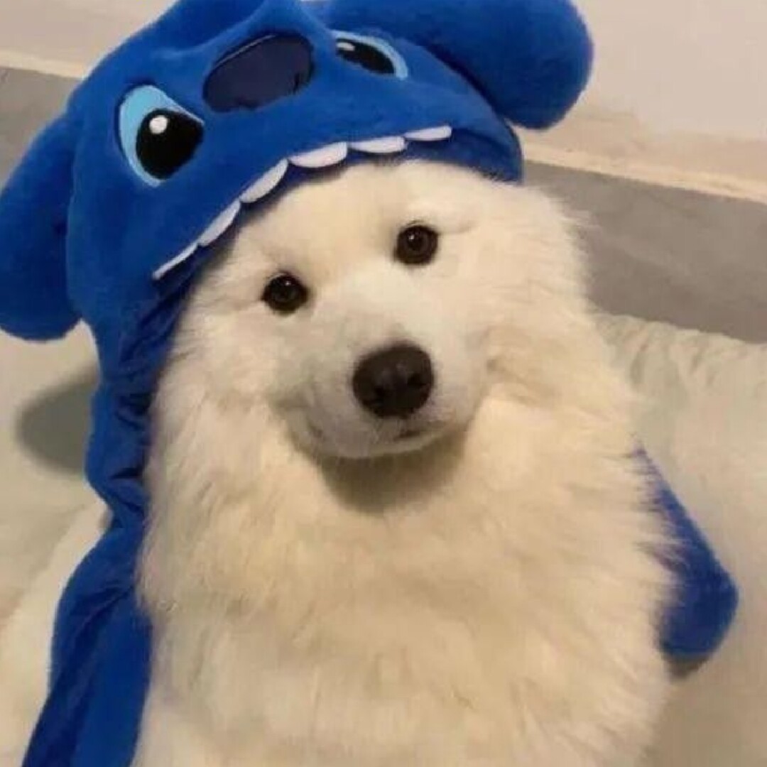 脆啵啵