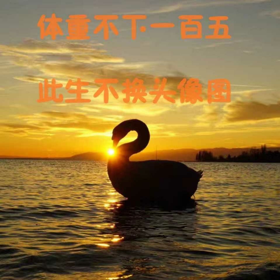 怪诞行为学1：可预测的非理性