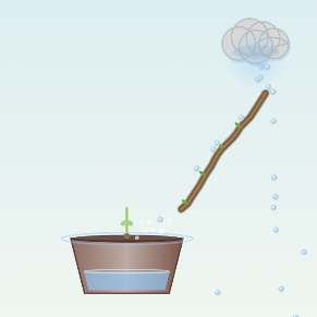 拯救植物宣传图