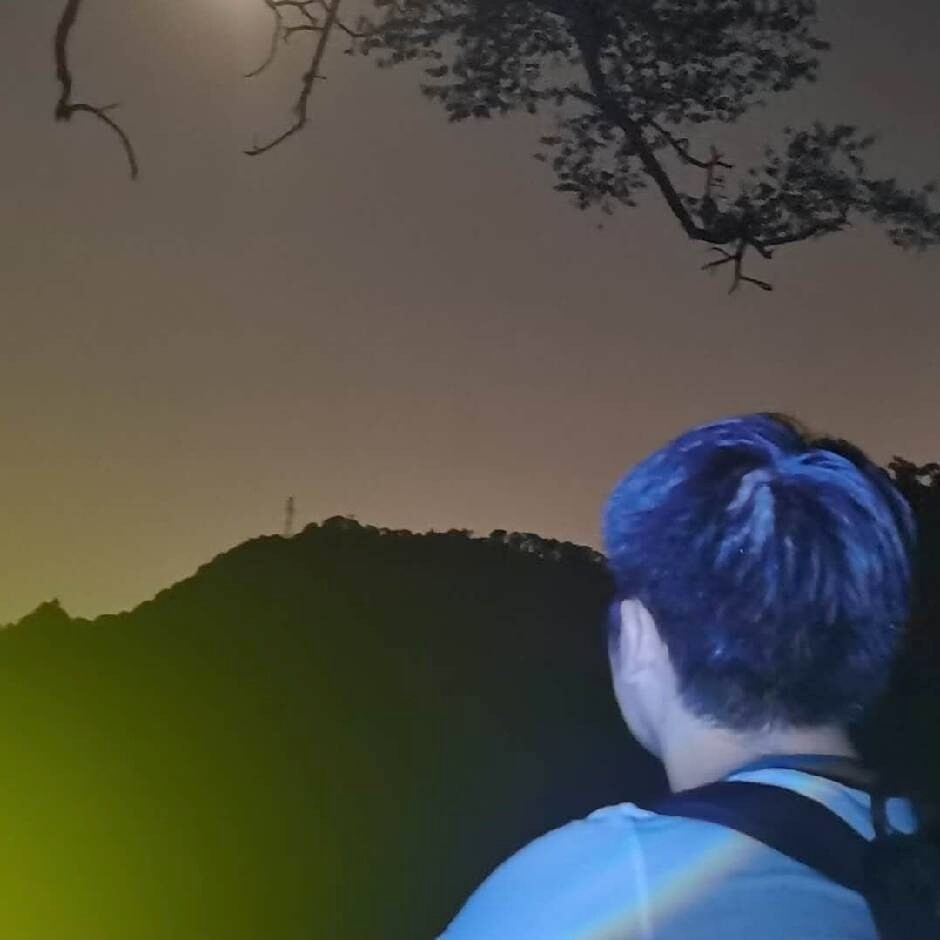 追星星的人