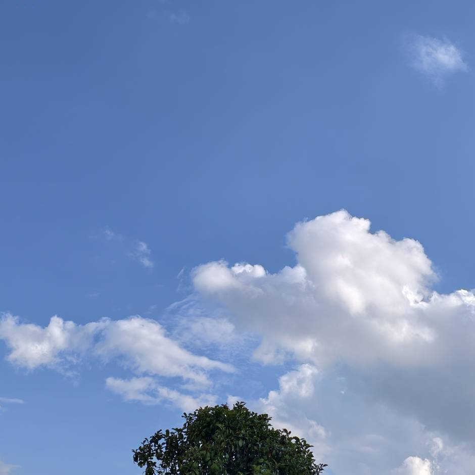 好好吃饭好好睡觉