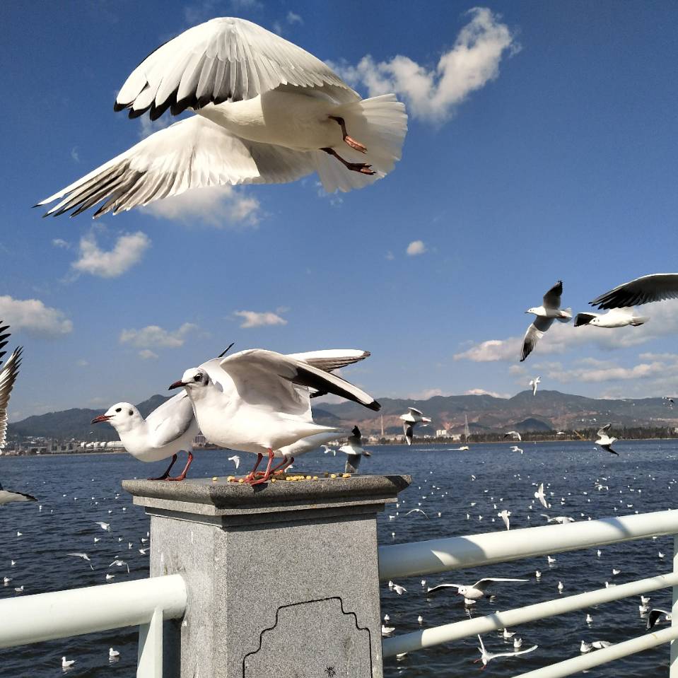 用戶頭像