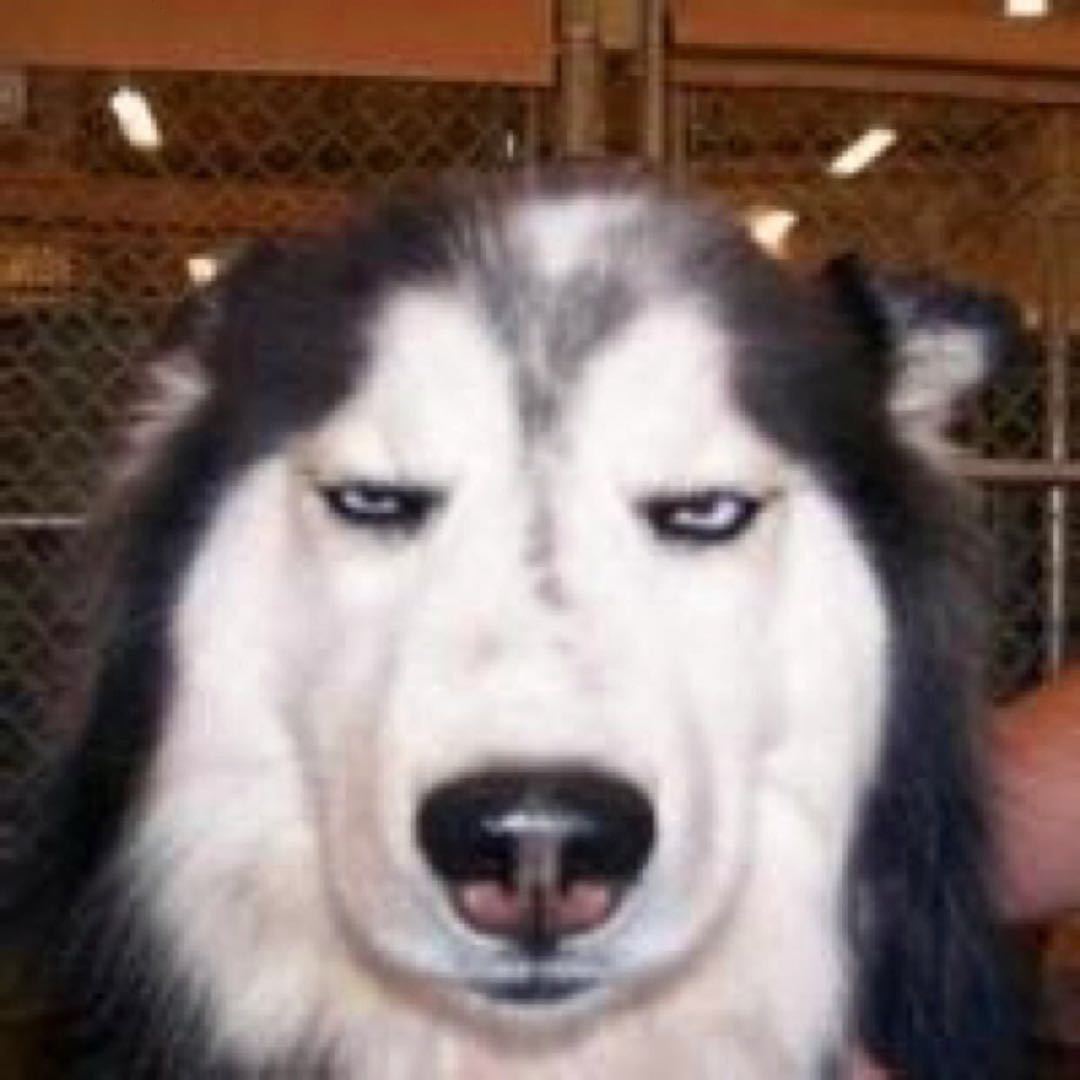 可乐只喝无糖的丶