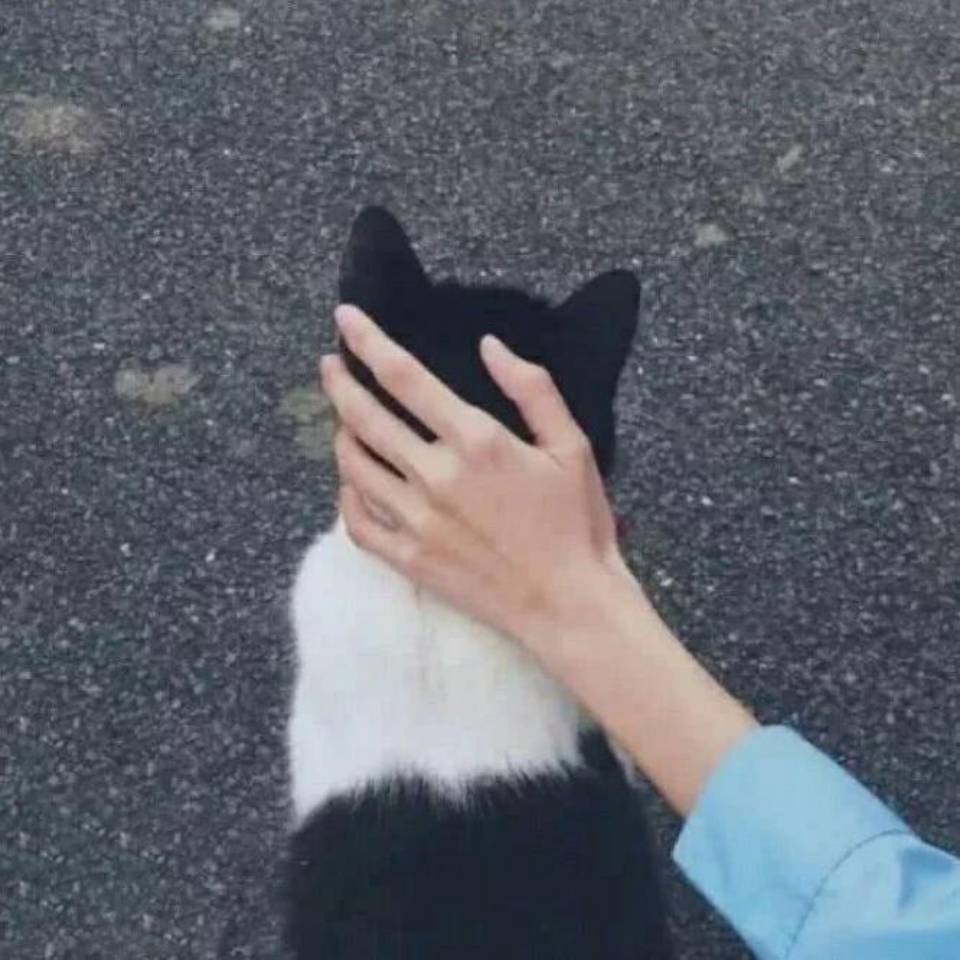 子钰