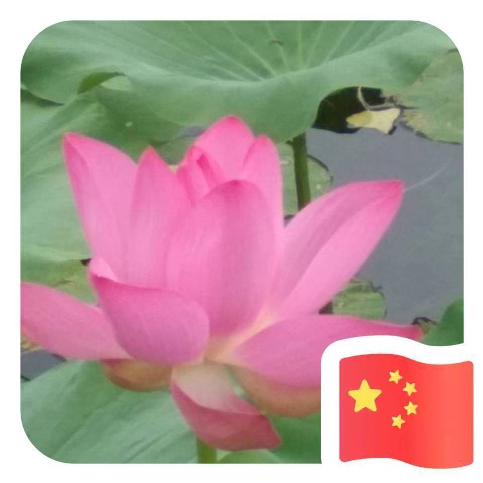用戶頭像