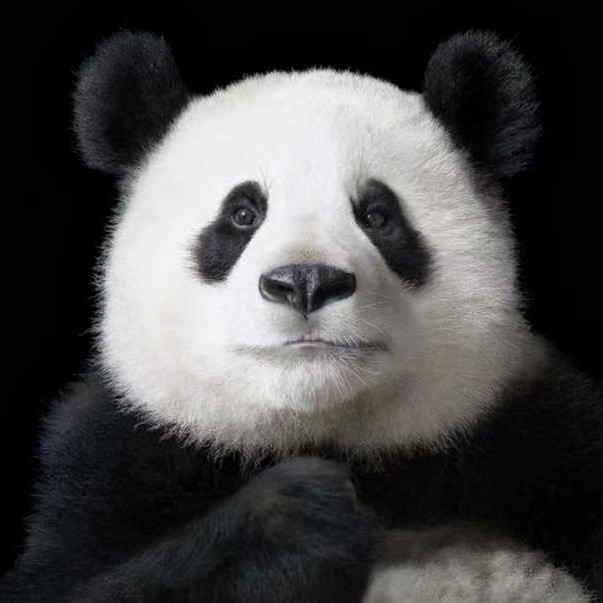 一种感觉