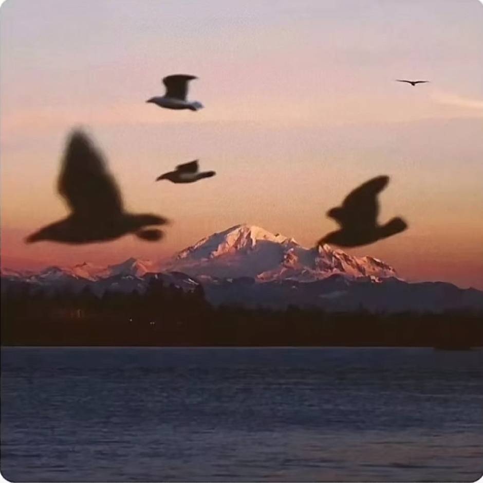 清屿
