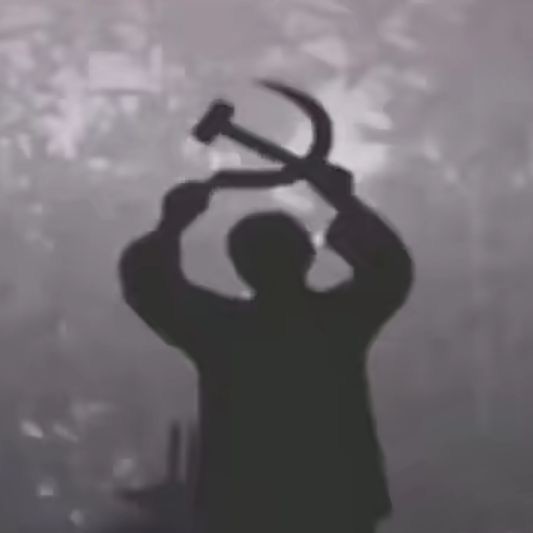 🌻萬能青年旅店¹🌻