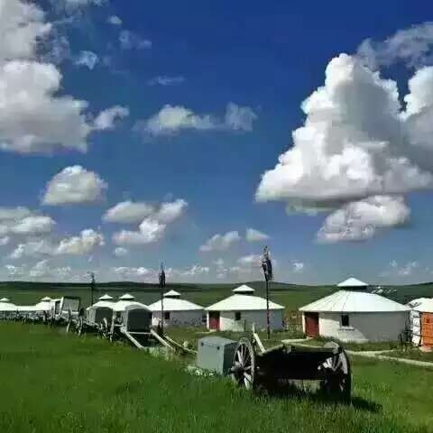 刘瑞华