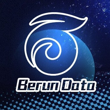 大连百润网络科技有限公司