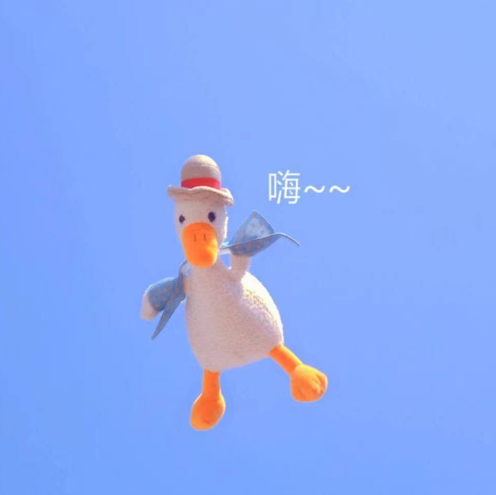 一鸭一鸭呦