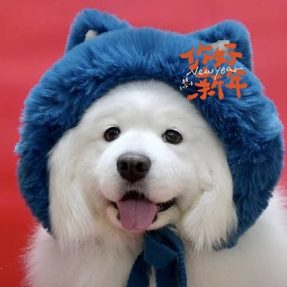 无糖奶酪