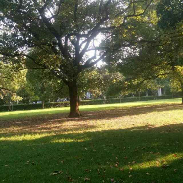 有诗有梦有远方