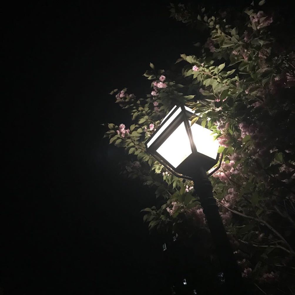漠苍御风