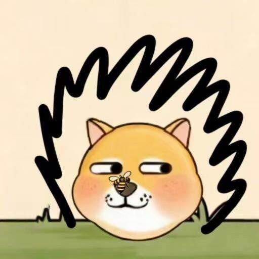 拯救狗子