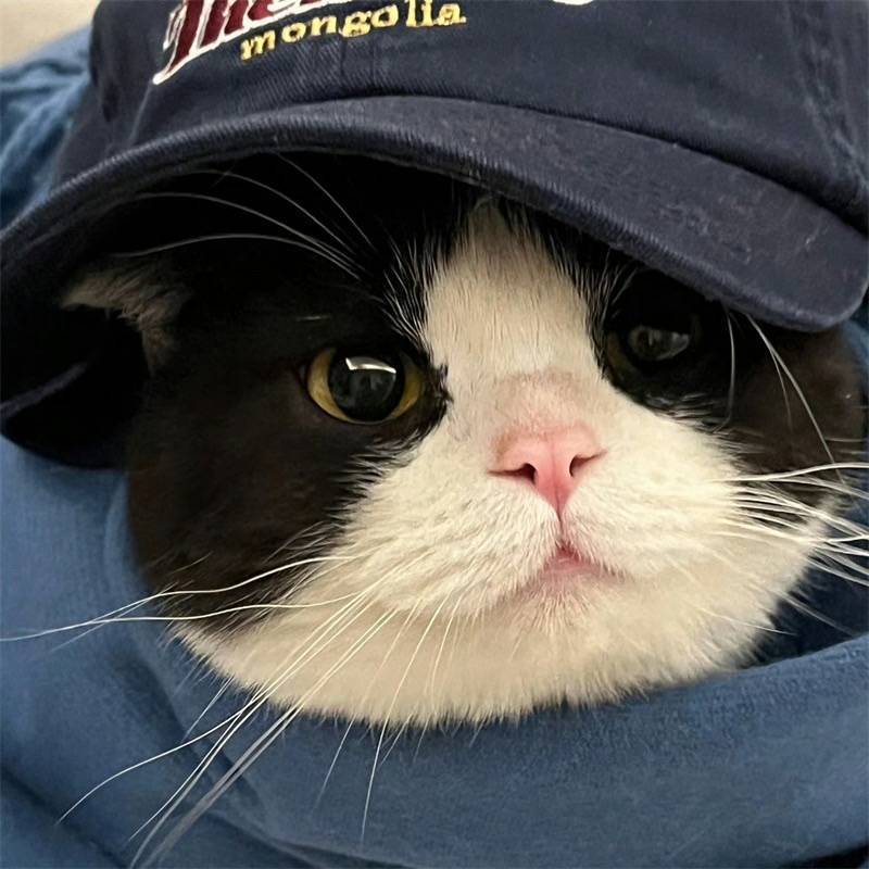Felix