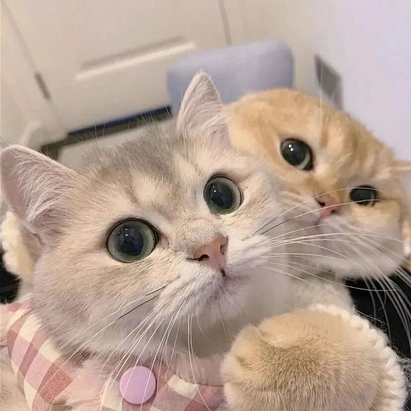 妳