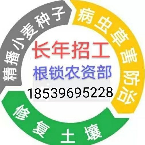 根锁农资服务部  诚信招工