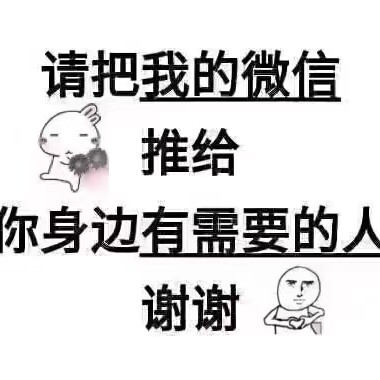 高经理