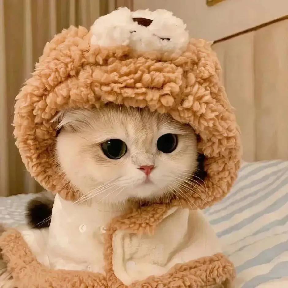 🚬᭄ཽ࿆簡單٭大叔࿐