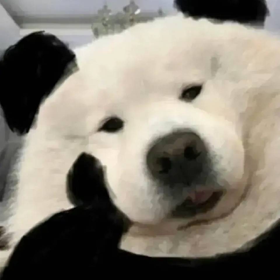 王哪跑