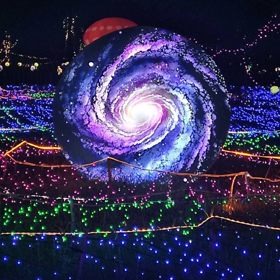 大宝