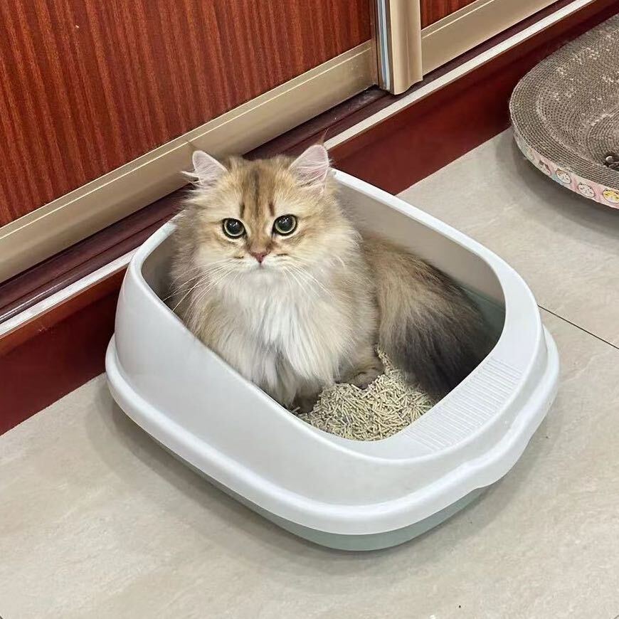 LuRongXin