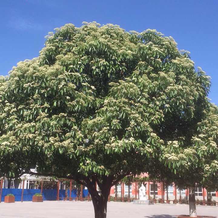 时间不够用的人