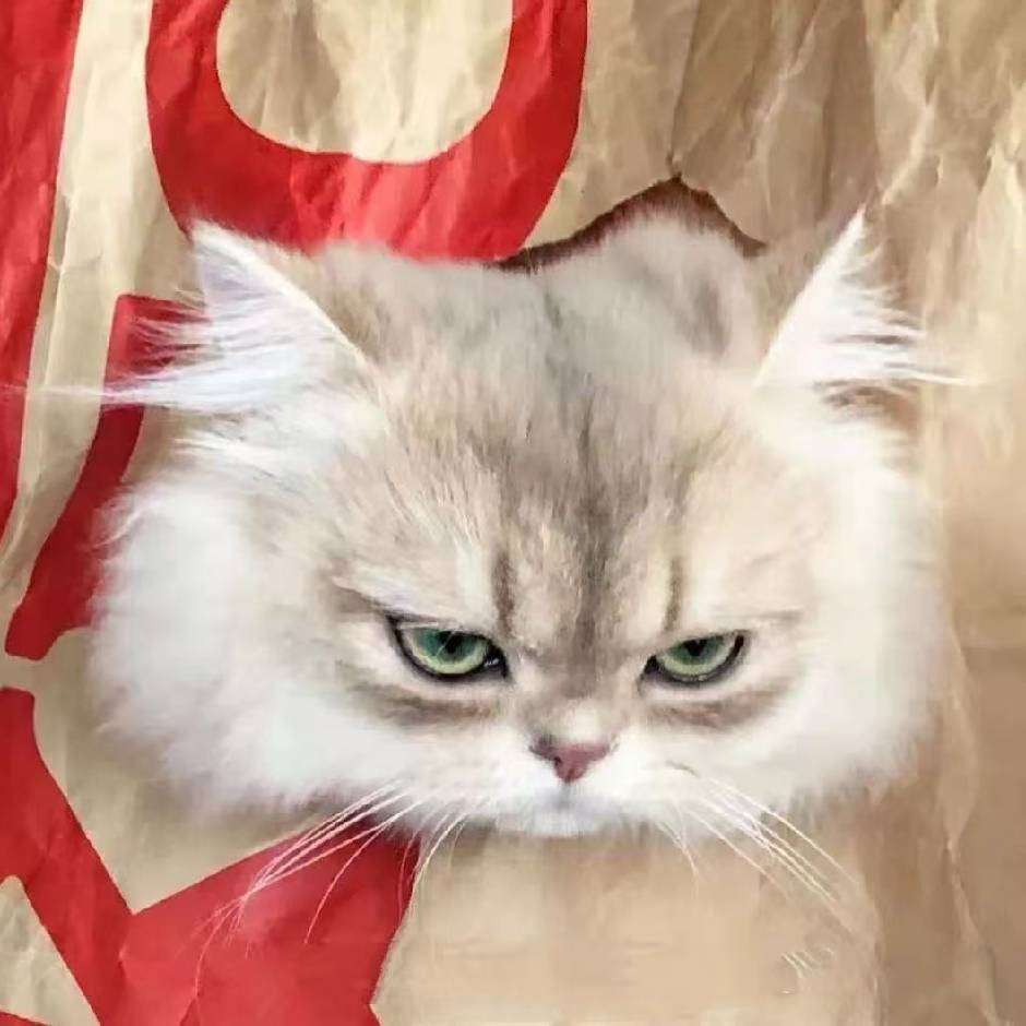 SayHi
